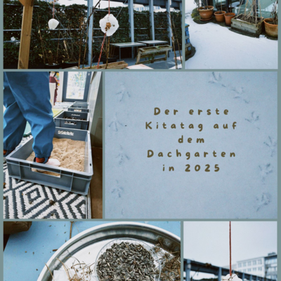 Die erste Schneekunst in 2025.jpg
